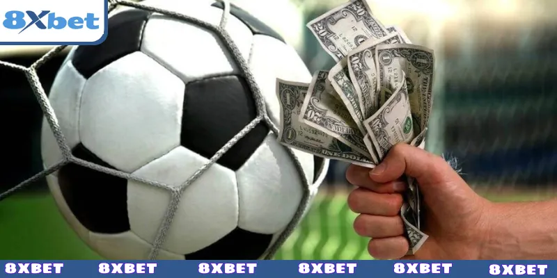 CMD thể thao - Tỷ lệ và kèo cược đẳng cấp